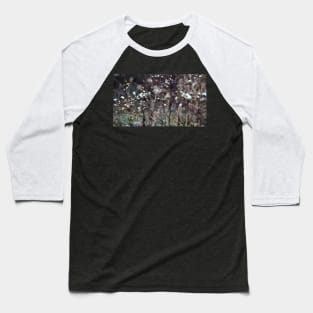 Winter Panicled Aster Baseball T-Shirt